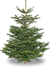 Load image into Gallery viewer, Medium christmas tree
