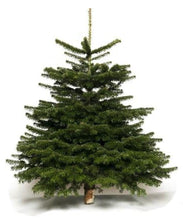 Load image into Gallery viewer, Medium christmas tree
